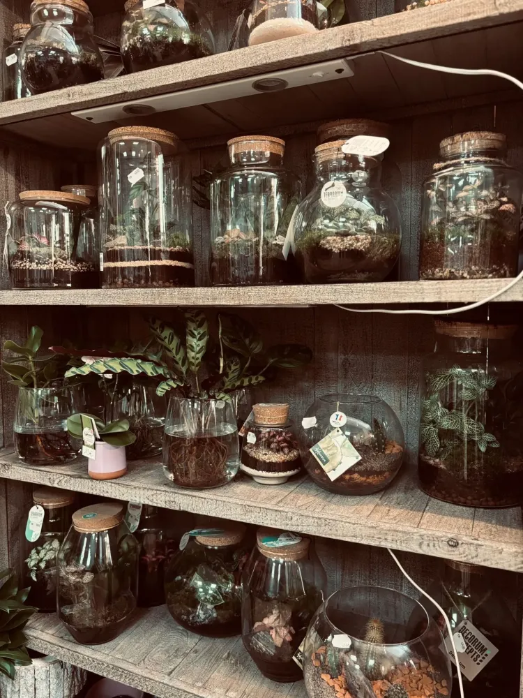 plantes à Gramat