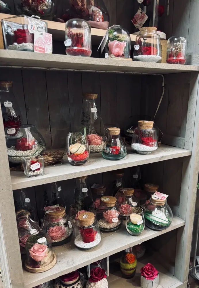 assemblage de plantes à Gramat